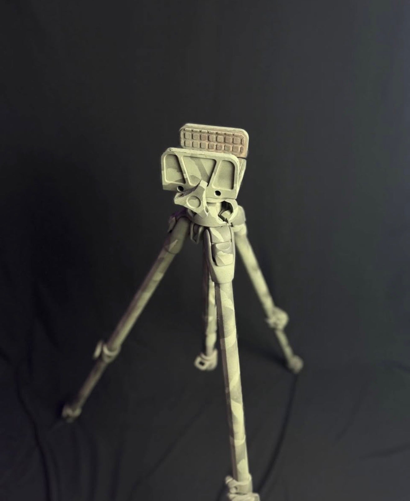 Hog Sadl on tripod