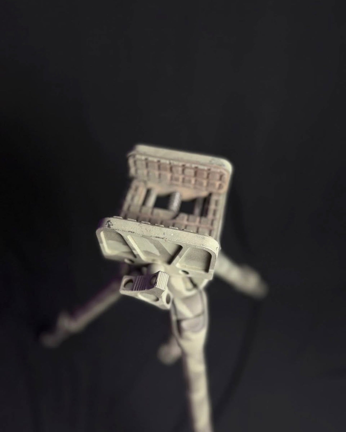 Hog Sadl on tripod